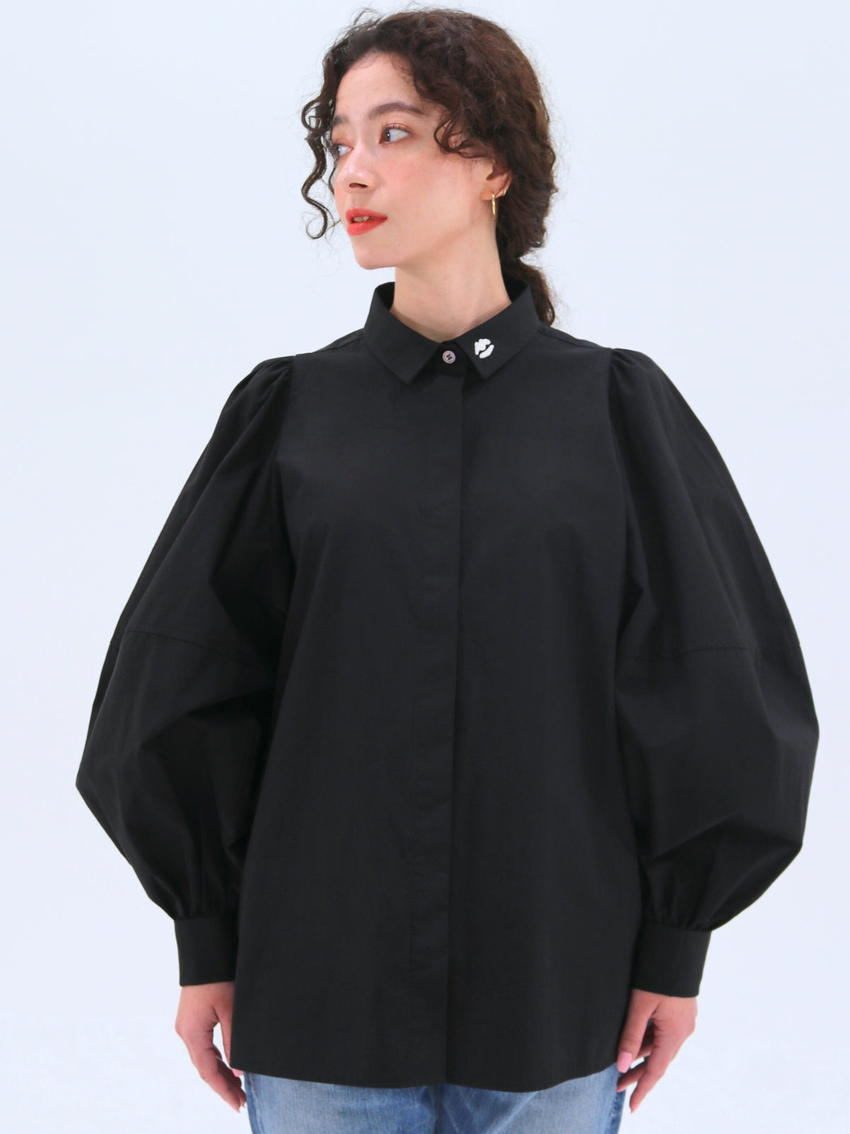 Volume Sleeve Blouse
